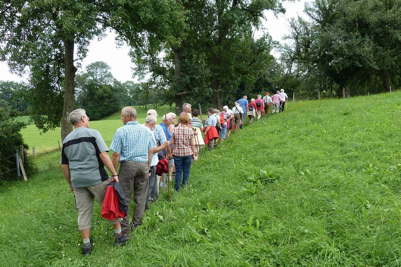 n_08 Sen -Schlange.jpg